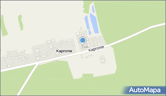 Zakład Usług Leśnych - Góra Adam, Kapronie 28A, Kapronie 23-304 - Przedsiębiorstwo, Firma, NIP: 8621300317