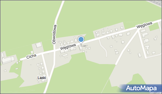 Zakład Usług Leśnych Jerzy Tyszko Janusz Szczęsny, Węglowa 9 68-100 - Przedsiębiorstwo, Firma, NIP: 9241041867