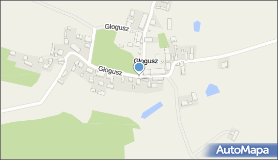 Zakład Usług Leśnych, Głogusz 24, Głogusz 66-100 - Przedsiębiorstwo, Firma, NIP: 9271370185