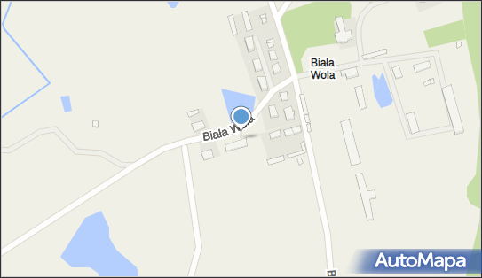 Zakład Usług Transportowych, Biała Wola 6, Biała Wola 11-135 - Przedsiębiorstwo, Firma, NIP: 7391573843