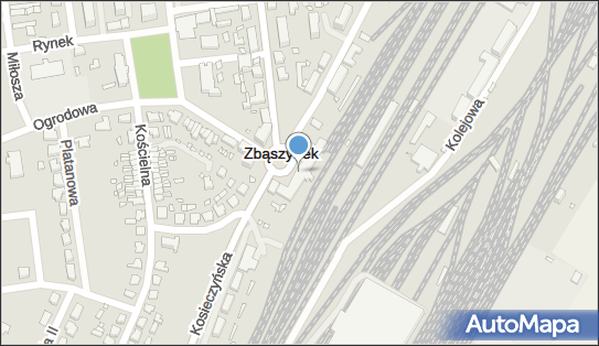 Zakład Usługowo Handlowy Domo, pl. Dworcowy 4, Zbąszynek 66-210 - Przedsiębiorstwo, Firma, NIP: 9271099831
