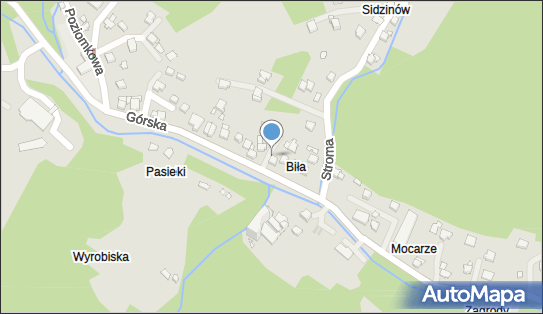 Zakład Usługowo-Handlowy Pelforth Sebastian Krupski, Górska 66 43-370 - Przedsiębiorstwo, Firma, NIP: 6340006453