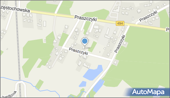 Zakład Usługowo - Handlowy Władysław Grzyb, Praszczyki 48a 42-140 - Przedsiębiorstwo, Firma, NIP: 5740007303