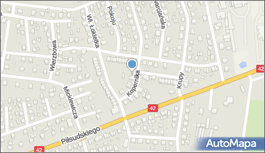 Zakład Usługowo Handlowy, ul. Kopernika 12, Działoszyn 98-355 - Przedsiębiorstwo, Firma, NIP: 8321045430