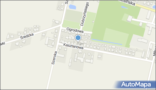 Zaklad Usługowy Cieślak Tomasz, Kasztanowa 17, Kołaczkowo 62-306 - Przedsiębiorstwo, Firma, NIP: 7891438048