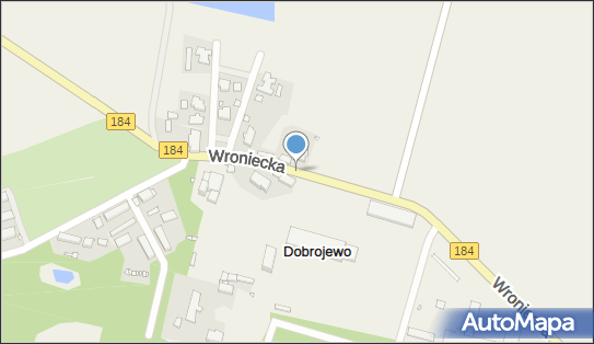 Zakład Usługowy, Dobrojewo 17, Dobrojewo 64-560 - Przedsiębiorstwo, Firma, NIP: 7871557761