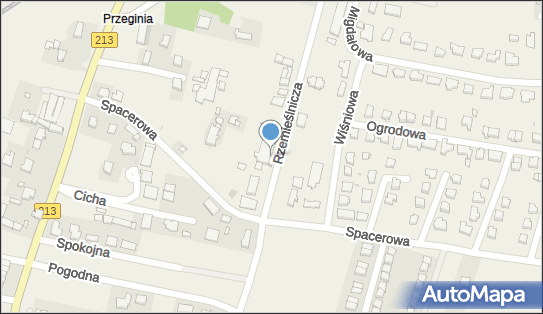 Zakład Wytwarzania Wyrobów z Gumy Jerzy Korzeniewski Bogusław Podsiadły 76-200 - Przedsiębiorstwo, Firma