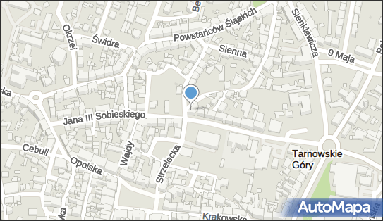 Zakład Zegarmistrzowski, Strzelecka 9, Tarnowskie Góry 42-600 - Przedsiębiorstwo, Firma, numer telefonu, NIP: 6451166036