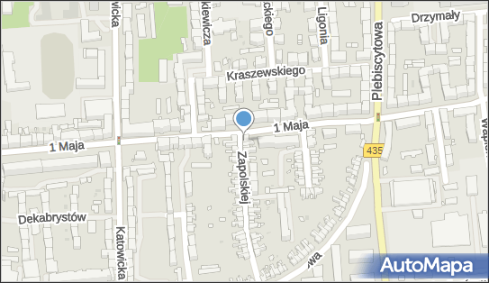 Żanis, ul. Gabrieli Zapolskiej 48, Opole 45-353 - Przedsiębiorstwo, Firma, NIP: 7542009455