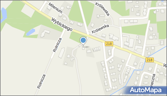 Zarobkowy Przewóz Osób Taksówką, ul. Józefa Wybickiego 41 81-207 - Przedsiębiorstwo, Firma, NIP: 5881655949