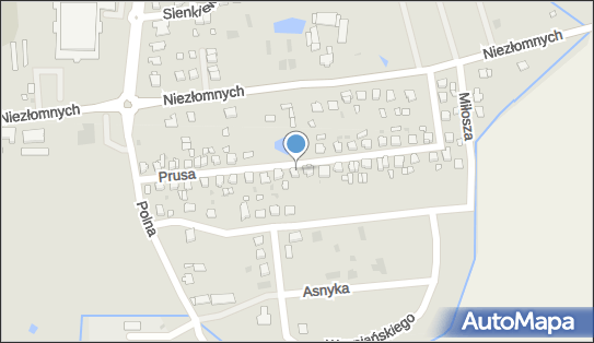 Zbigniew Kotlarek, ul. Bolesława Prusa 22, Mogilno 88-300 - Przedsiębiorstwo, Firma, NIP: 5571389821