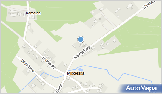 6452037743, Zbigniew Pasieka Utyl-Gum 