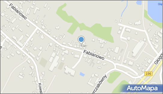 Zbigniew Piechowiak - Działalność Gospodarcza, Fabianowo 71 60-005 - Przedsiębiorstwo, Firma, numer telefonu, NIP: 7791090611