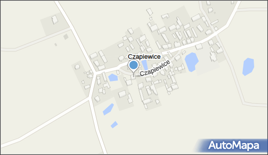 Zbigniew Skiba Zakład Mechaniki Pojazdowej Auto-Naprwa, Czapiewice 89-632 - Przedsiębiorstwo, Firma, NIP: 5551421473