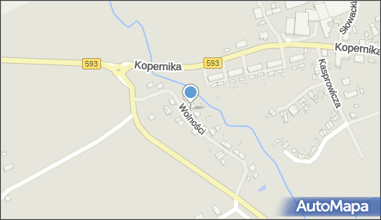 7391381411, Zbigniew Wódkiewicz 