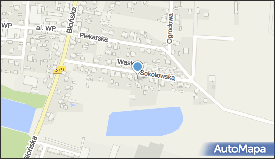 Zbigniew Zieliński, Sokołowska 18, Leszno 05-084 - Przedsiębiorstwo, Firma, NIP: 5291546337