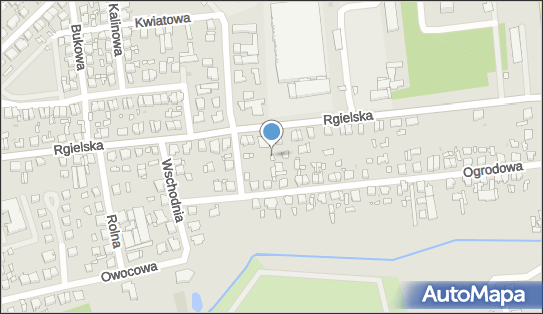 Zdrowotne Masaże Stóp, Rgielska 44, Wągrowiec 62-100 - Przedsiębiorstwo, Firma, NIP: 7661384024