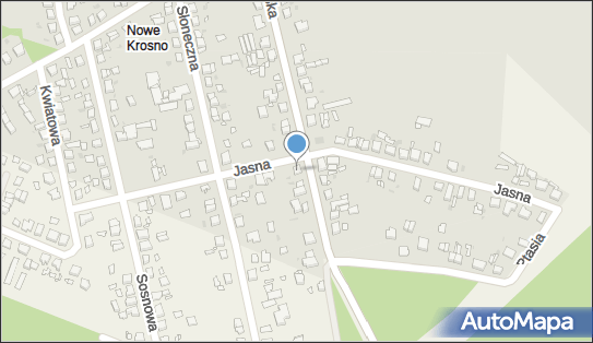 Żelisław Pawlak, Śremska 48, Mosina 62-050 - Przedsiębiorstwo, Firma, NIP: 7772054956