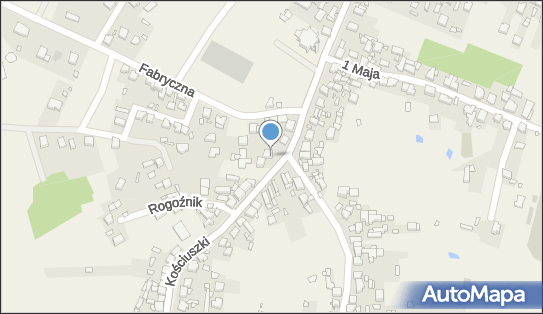 Zenon Owsiany i Sławomir Watoła Firma Grand Laster, Rogoźnik 42-582 - Przedsiębiorstwo, Firma, NIP: 6251088053