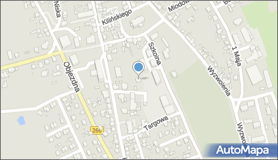 8891403607, Specjalny Ośrodek Szkolno - Wychowawczy im.Władysława Łokietka 