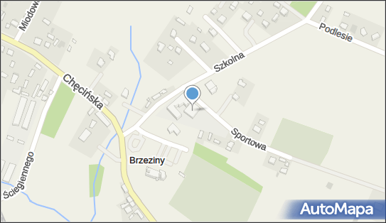 Zespół Szkół im Jana Pawła II w Brzezinach Szkoła Podstawowa w Brzezinach 26-026 - Przedsiębiorstwo, Firma, numer telefonu, NIP: 6571860590