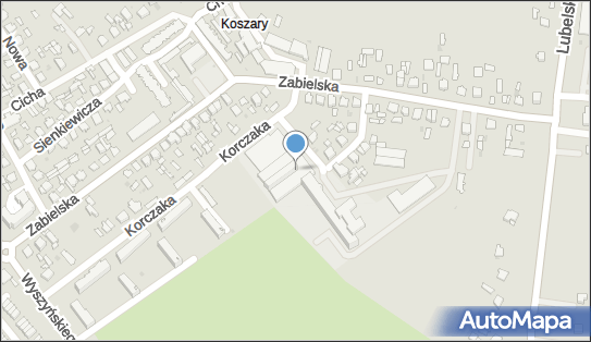 Zespół Szkół Ponadgimnazjalnych im Jana Pawła II w Radzyniu Podlaskim 21-315 - Przedsiębiorstwo, Firma, numer telefonu