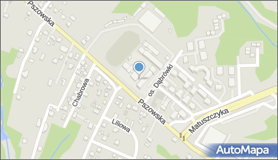 Zespół Szkół Technicznych, Pszowska 92, Wodzisław Śląski 44-300 - Przedsiębiorstwo, Firma, numer telefonu, NIP: 6472108096