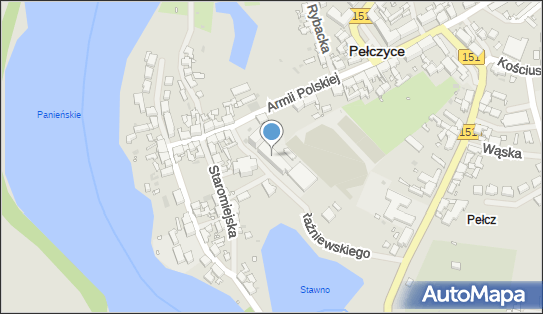 5941569812, Szkoła Podstawowa im.Mikołaja Kopernika w Pełczycach 