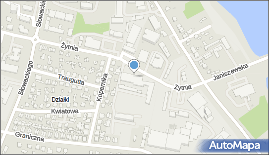 Zespół Szkół Zawodowych nr 1 im Władysława Korżyka w Rykach Technikum Odzieżowe 08-500 - Przedsiębiorstwo, Firma, numer telefonu