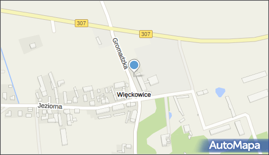 Zespół Szkolno Przedszkolny w Więckowicach Szkoła Podstawowa 62-070 - Przedsiębiorstwo, Firma, numer telefonu, NIP: 7772742136