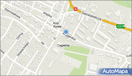 8631245904, Zieleniak i Artykuły Spożywcze Jacek Szal 