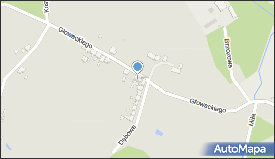 Zienkiewicz R.Taxi, Boguszów, ul. Bartosza Głowackiego 6 58-372 - Przedsiębiorstwo, Firma, NIP: 8861031503