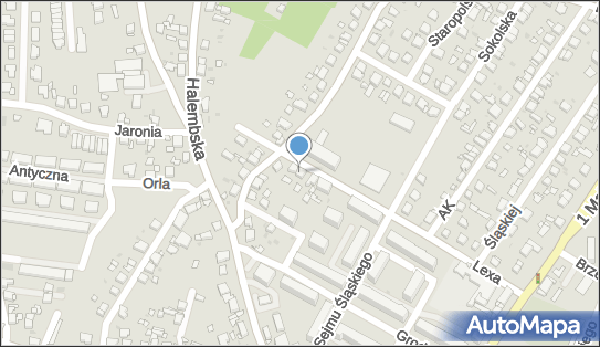 Zofia Bochnia - Działalność Gospodarcza, ul. ks. Pawła Lexa 17 41-706 - Przedsiębiorstwo, Firma, NIP: 6411491646