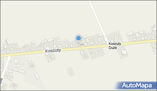 Zuh Marcin Berdziński, Koszuty 37, Koszuty 62-400 - Przedsiębiorstwo, Firma, NIP: 6671470026