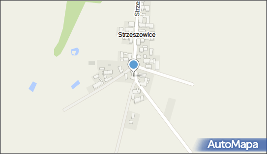 Zuk - Las, Strzeszowice 7, Strzeszowice 68-212 - Przedsiębiorstwo, Firma, NIP: 9282083242