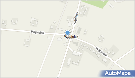 Zygmunt Jasieniecki - Działalność Gospodarcza, Wąpielsk 13 87-337 - Przedsiębiorstwo, Firma, NIP: 8921320531