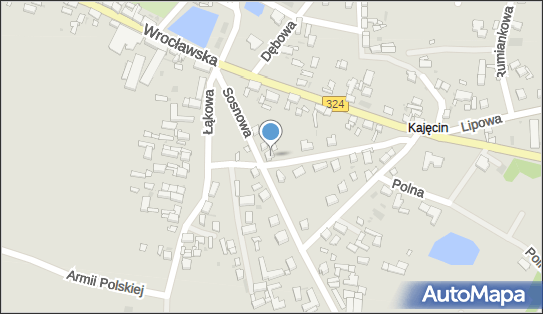 6990013742, Zakład Szlif.Kryszt.Malowanie Na Szkle