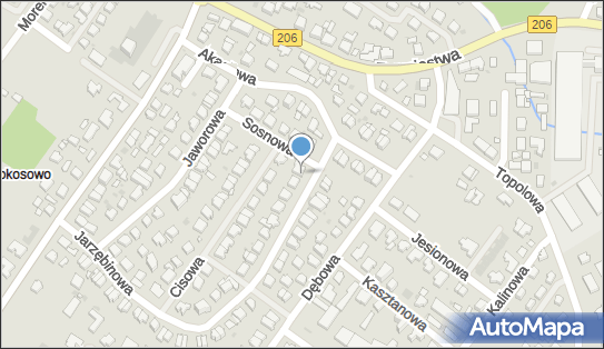 6692380541, Klub Balonowy 