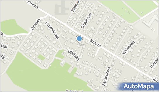 8512838561, Międzyszkolny Klub Sportowy 