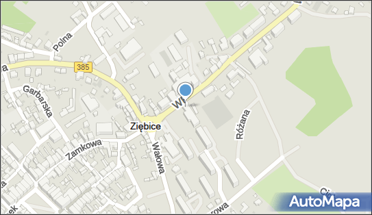 021842895, Ziębicki Klub Bokserski 