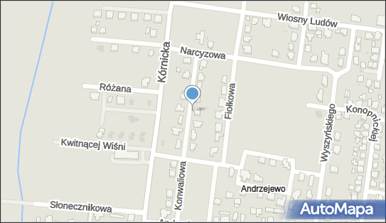 Dominik Krajewski, ul. Konwaliowa 12/, Kostrzyn 62-025