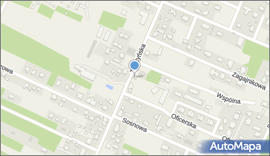 Czerwony Słoń Thai Food, Tuszyńska 94A, Wiśniowa Góra 95-020 - Restauracja, numer telefonu