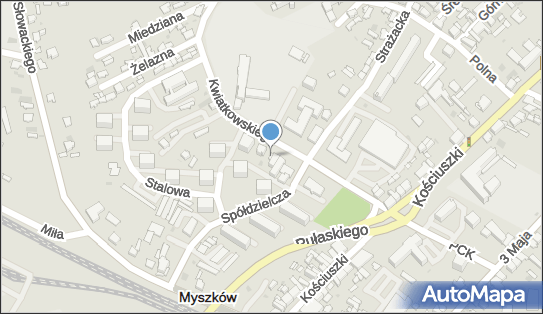 Fuerte, Kwiatkowskiego 3b, Myszków 42-300 - Restauracja, numer telefonu