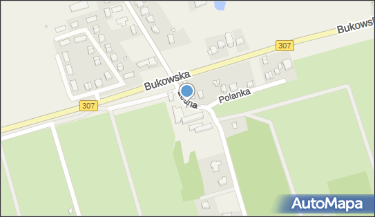 Przylesie, Bukowska 2a, Sierosław - Restauracja, godziny otwarcia, numer telefonu