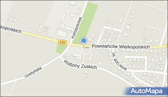 Restauracja, Powstańców Wielkopolskich 26a, Borek Wielkopolski 63-810 - Restauracja