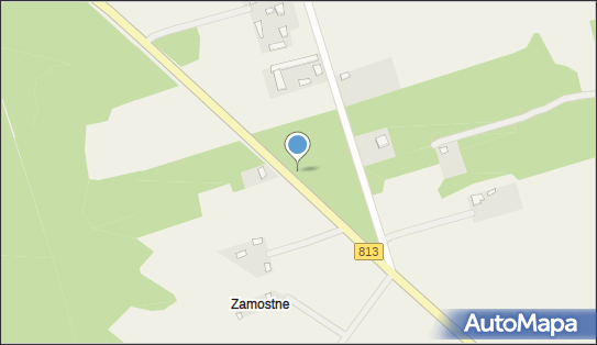 1,0 km, DW 813, Zamostne - Ryzyko kolizji ze zwierzętami