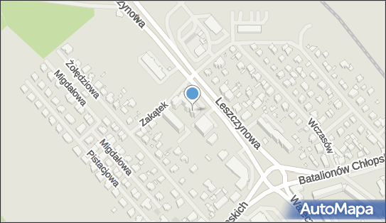 Rutkowski Ekspresy, Leszczynowa 19/U4, Szczecin 70-766 - Serwis, godziny otwarcia, numer telefonu