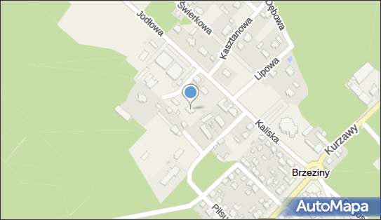 Spółdzielcza Grupa Bankowa, Bankowa 3, Brzeziny 62-874, godziny otwarcia