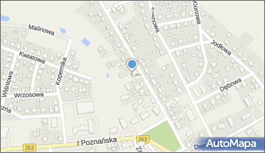 Spółdzielcza Grupa Bankowa, Wiosny Ludów 12, Babiak 62-620, godziny otwarcia