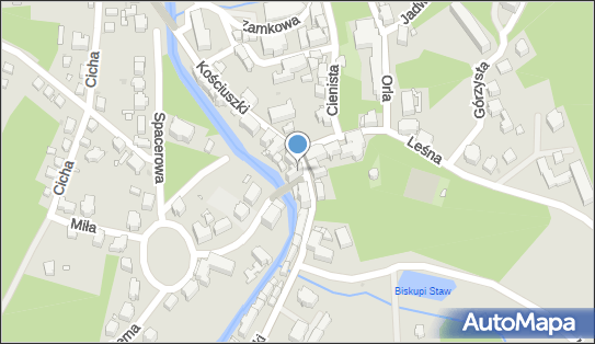 Spółdzielcza Grupa Bankowa, Kościuszki 44, Lądek Zdrój 57-540, godziny otwarcia